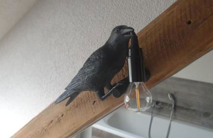 SeenSucht & Urlaubsträume, Ferienwohnung "Seeadler" - Photo 25