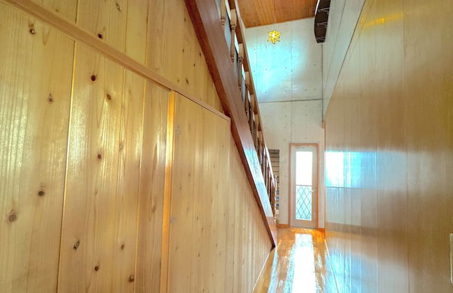 ANGO ISHIGAKIJIMA1 - Foto 13