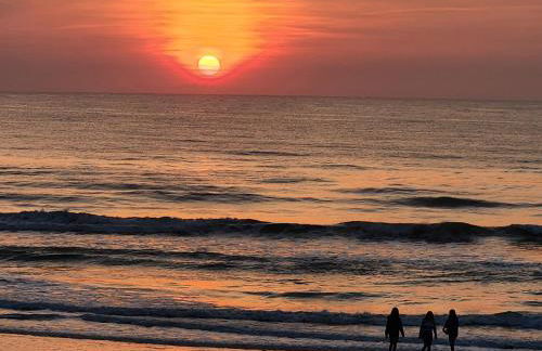 A1A Brownwaves - Foto 17