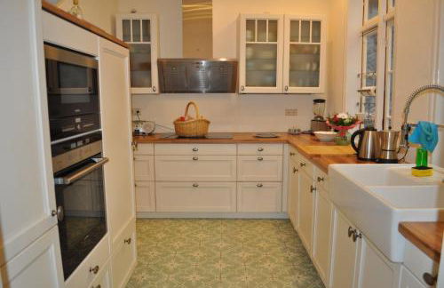 Lazy Elbfish - Foto 10