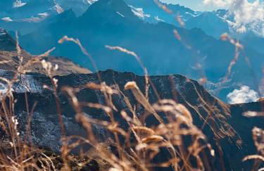 Penthouse im Dachgeschoss - Foto 36