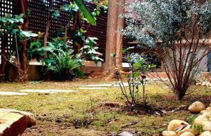 Rafina Splendor - Foto 17