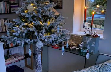 5 SEAVIEW private parking w EV - Photo 29