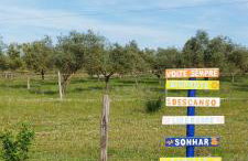 Lodge Rabasquinha - Photo 22