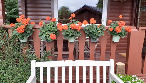 Ard Darach Lodge - Photo 2