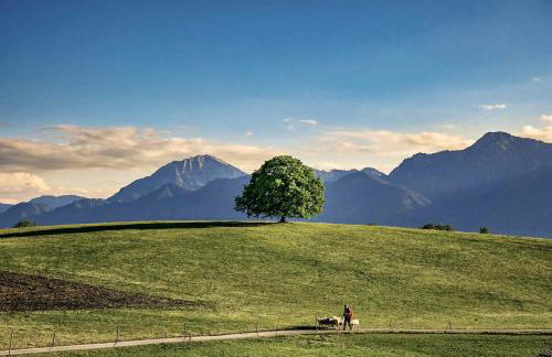 Rosi's Ferienwohnung Kampenwandblick - Foto 15