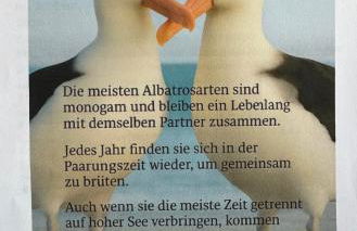 Ferien-Whg Albatros direkt am Steinhuder-Meer, mit Meerblick und Parkplatz - Foto 60