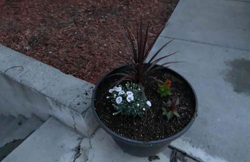 The Wing at Kingston East - Photo 46