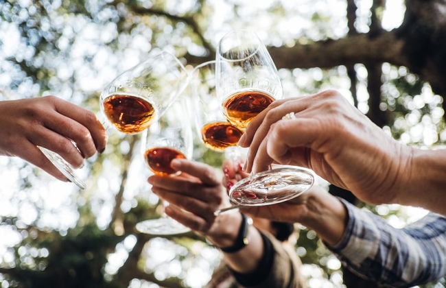 Casa do Santo - Wine & Tourism - Foto 64