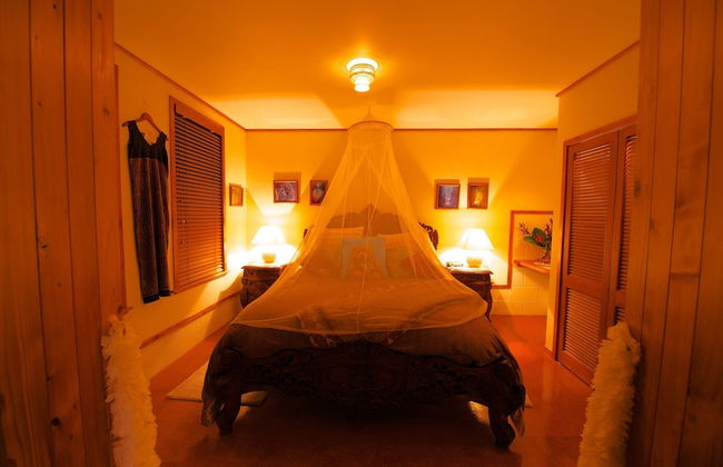 Bethells Beach Cottages - Foto 2