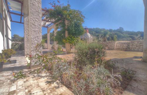 Apartments Franić - Photo 1