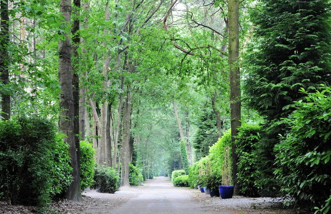 Chalet in Parc de Kievit With Private Garden - Foto 26