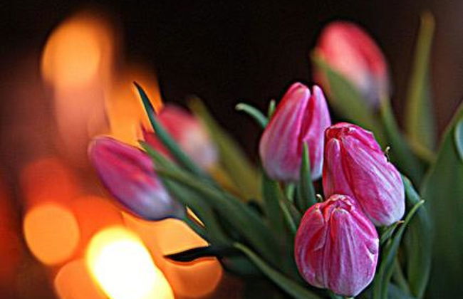 Divaanikivi - Foto 12