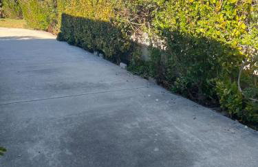 Cozy One Bedroom Apartment - Photo 6