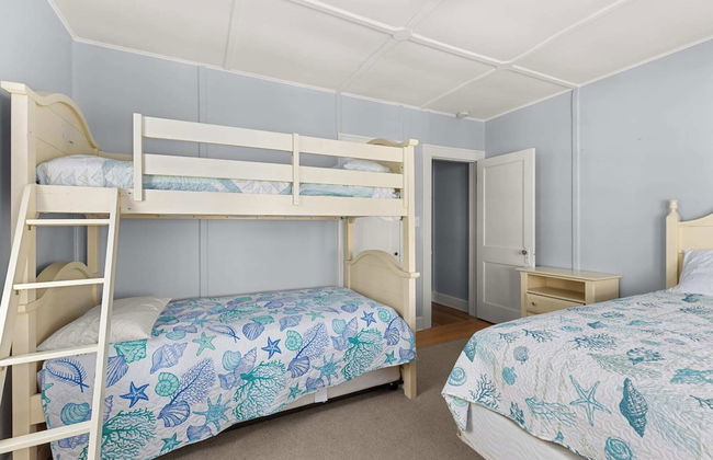 OCHG Sand Dollars - Photo 5