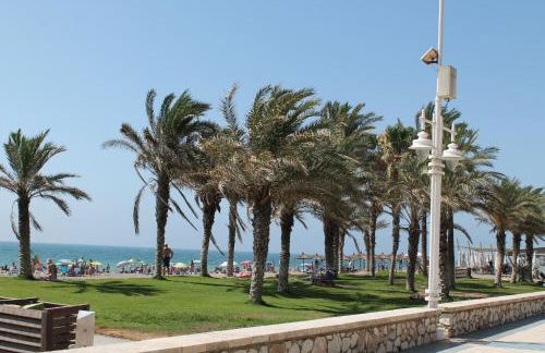 PACIFICO 18 - Photo 16