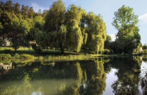 Estate in Dordogne near Sites - Foto 28