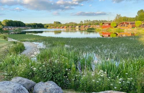 Dot's Place 1 - Foto 24