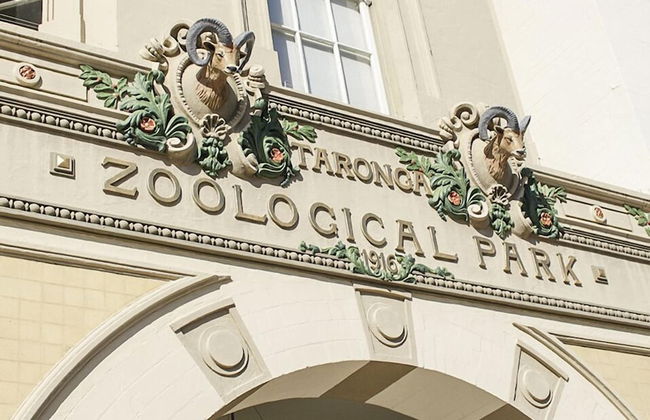 Ballantyne at Mosman Serviced Apartment - Foto 48