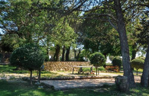 Le Mas - Foto 19