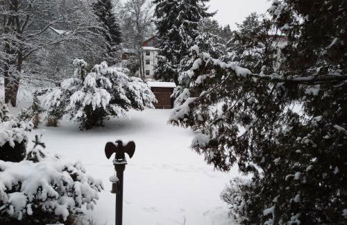 Ferienwohnung Waldblick - Foto 11