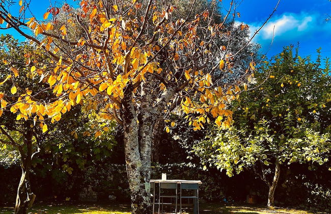 Pedra Nova - Turismo d'aldeia - Photo 77