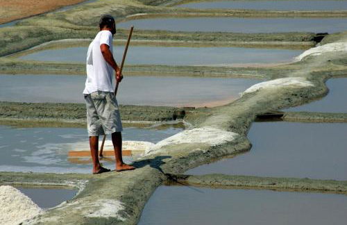 Azureva Fouras - Foto 24