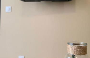 302 - 2 pièces tout équipé à Strasbourg - Foto 6