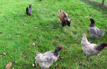 Apartamentos La Quintana de Romillo - Photo 23