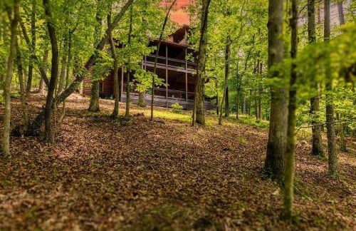 Luxe Family Cabin 8 min to Downtown Blue Ridge - Foto 35