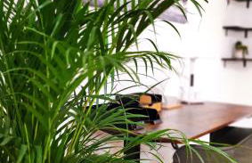 Apartment Stadtliebe Marburg PS4 - Foto 7