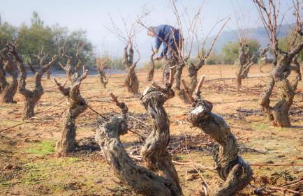 Apartamento "Kanogal" - Photo 31