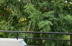 Casa at the top of the hill - Foto 17