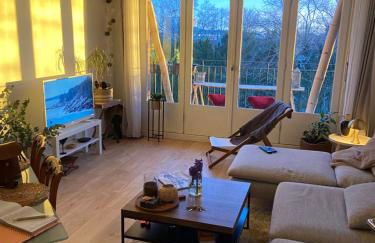 Le tournesol - Foto 1