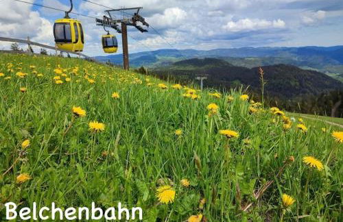 Toscana-Residenz im Schwarzwald - Foto 26