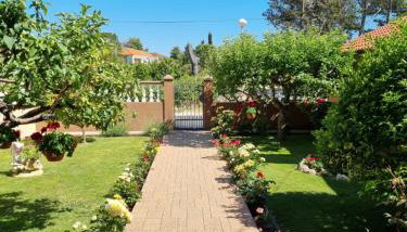 Apartman Tea - Photo 3