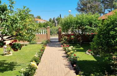 Apartman Tea - Photo 3