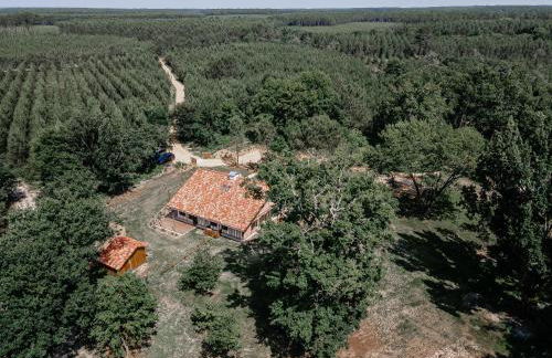 Maison Marie-Lys - Foto 20