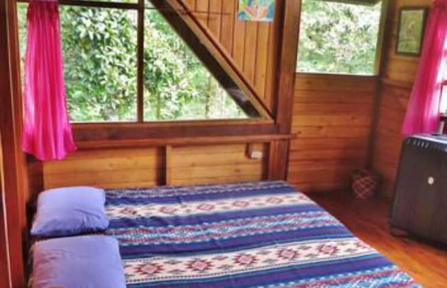 Mindo Eco chalet - Foto 10