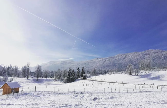 Ranch Marina - Photo 19