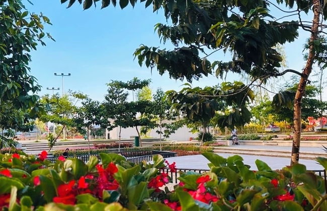 Pandora's Nest - Foto 66