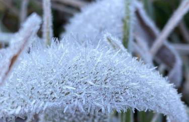 Casa Recanto Beija Flor, Monte Verde - Foto 39