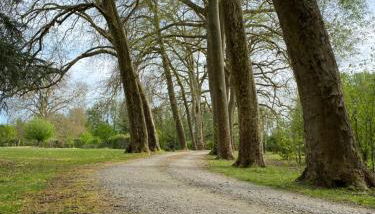 Château de la Coudraie et La Petite Coudraie - Photo 5, Garden
