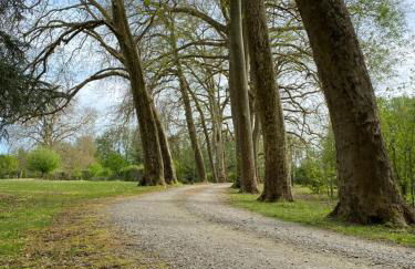 Château de la Coudraie et La Petite Coudraie - Photo 5