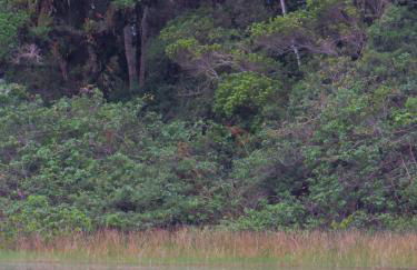 Pousada Águas de Ibiraquera Suite Master - Foto 34