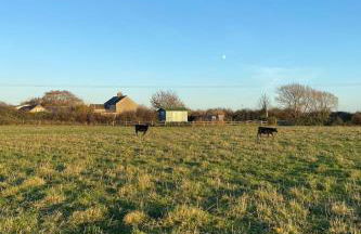Swedish Rustic Cabin perfect for bird watching - Foto 16