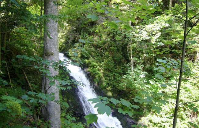 Ferienwohnung mit Talblick in Todtmoos - Photo 37