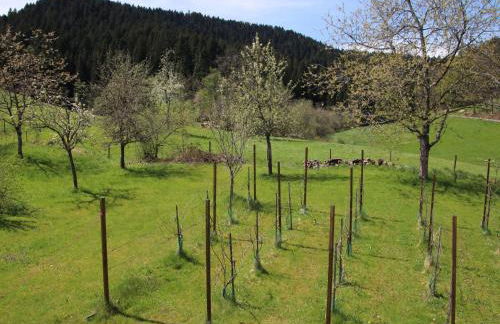 Holiday Home Backhäusle by Interhome - Foto 26