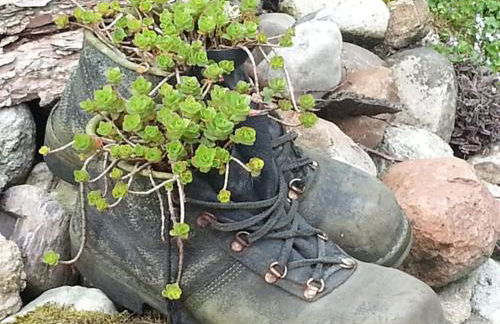 Ferienhaus Emstal in Oberlangen - Foto 29