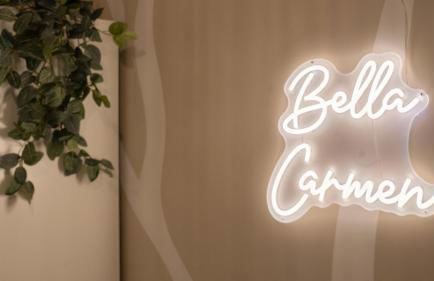 Le Bella Carmen - Near Eurexpo & Groupama Stadium - Foto 3